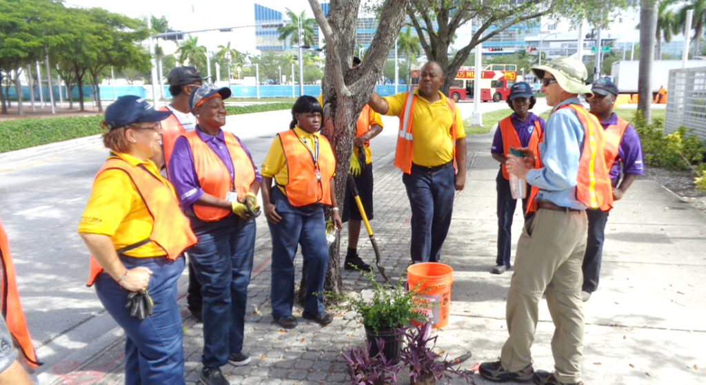 Purple Shirts team members making improvements on the street in Omni District